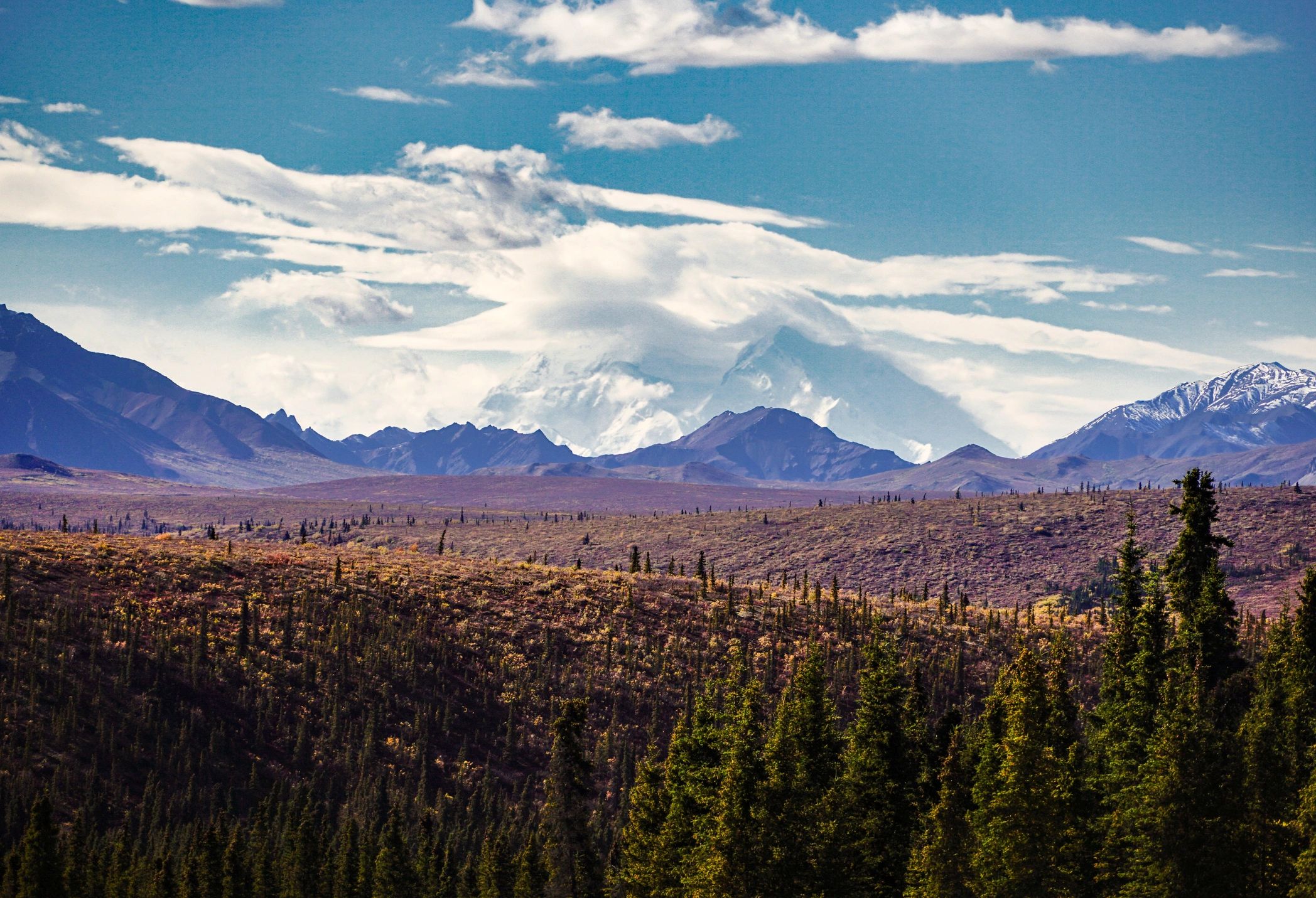 Mountain valley view in Denali National Park